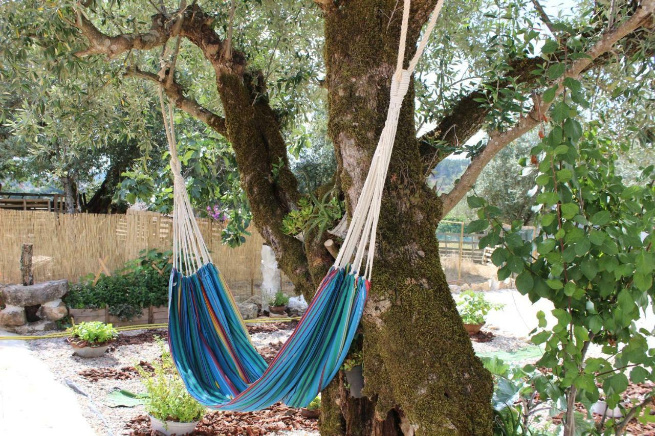 Turismo Rural Casa Da Ceu Amiais de Cima Dış mekan fotoğraf
