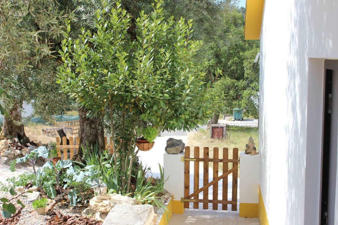 Turismo Rural Casa Da Ceu Amiais de Cima Dış mekan fotoğraf